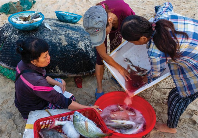 Thu mua tại bãi biển